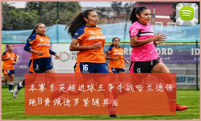 本赛季英超进球王争夺战哈兰德领跑B费佩德罗紧随其后