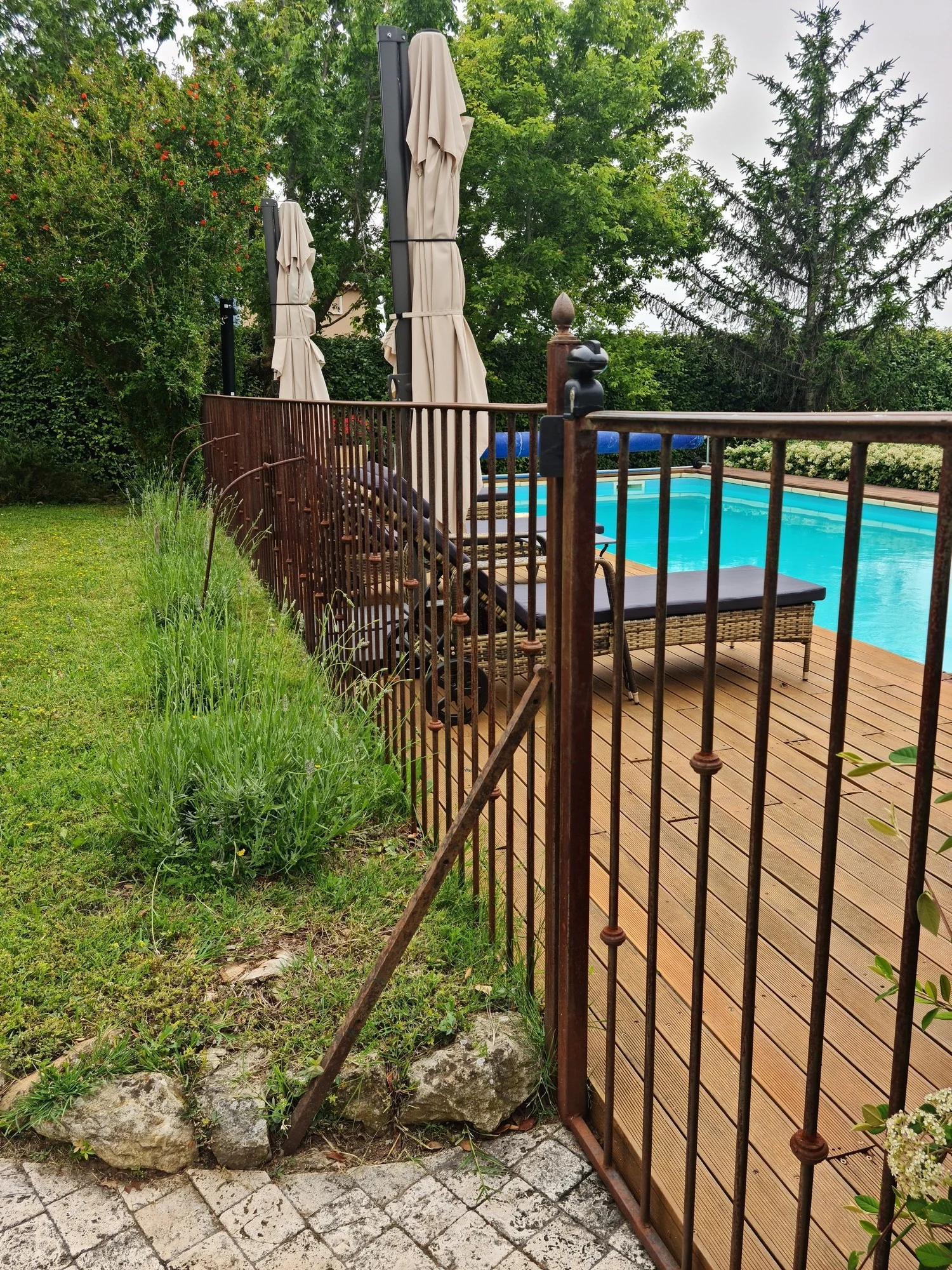 Piscine avec barrière et portillon de sécurité