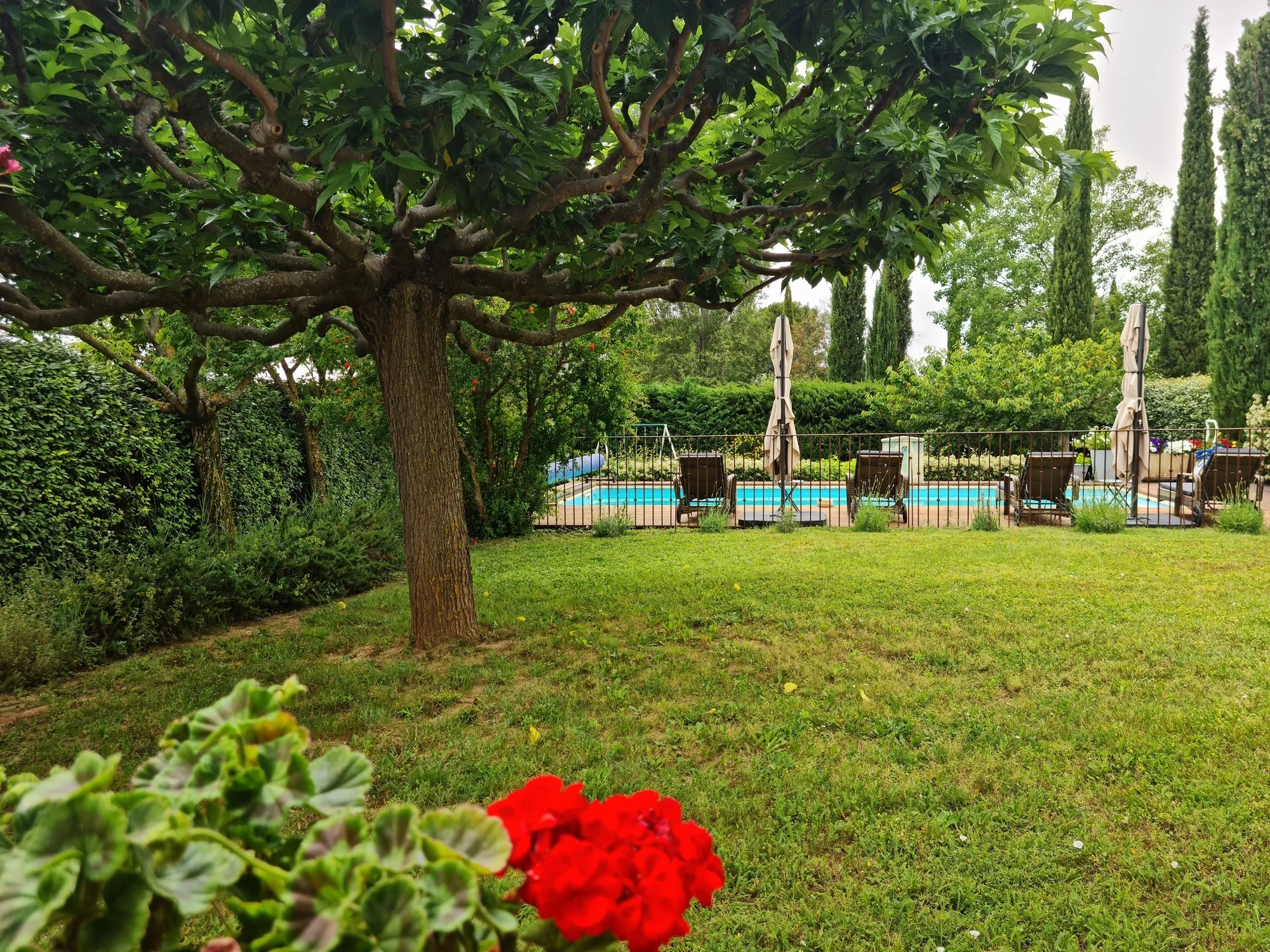 Jardin et Piscine La Piboulo