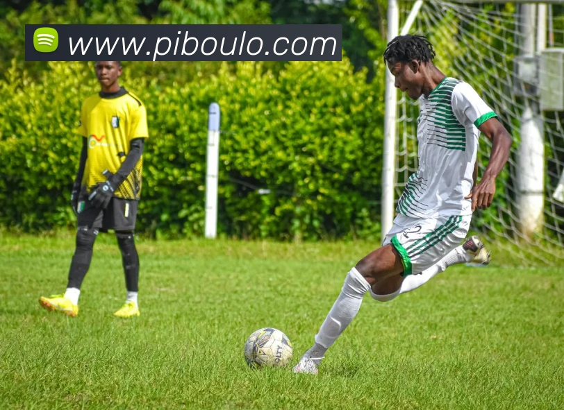 数据分析功能